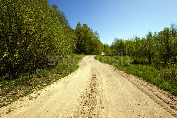 Dirt road   Stock photo © avq