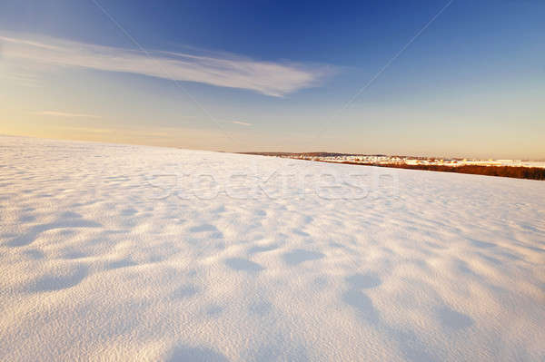 snow-covered field   Stock photo © avq
