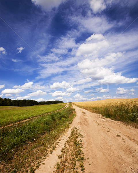 Сток-фото: небольшой · дороги · не · дороги · сельскохозяйственный · области