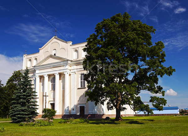 Katolikus templom terület Fehéroroszország építkezés természet Stock fotó © avq