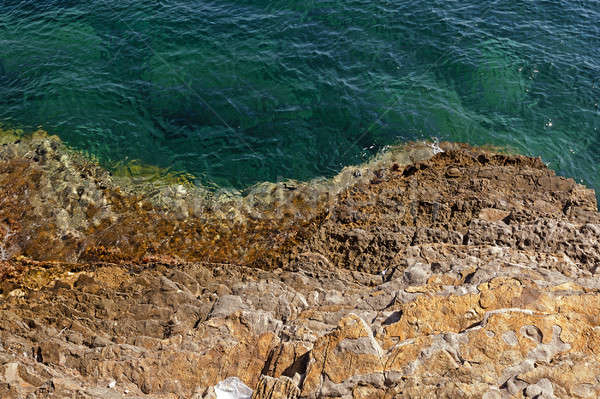 Ufer Meer Sommer Ozean rock Stock foto © avq