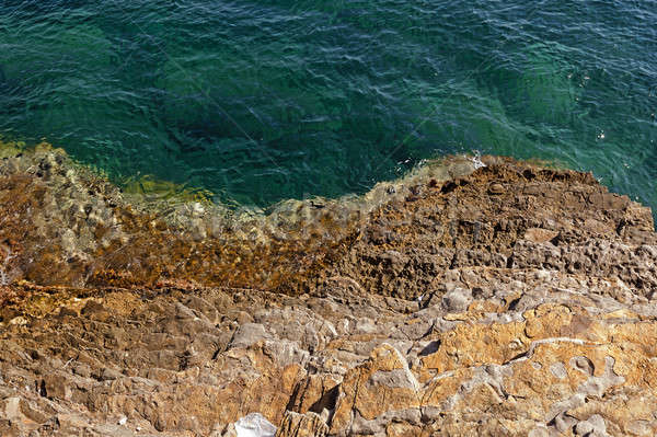 rocky shore   Stock photo © avq