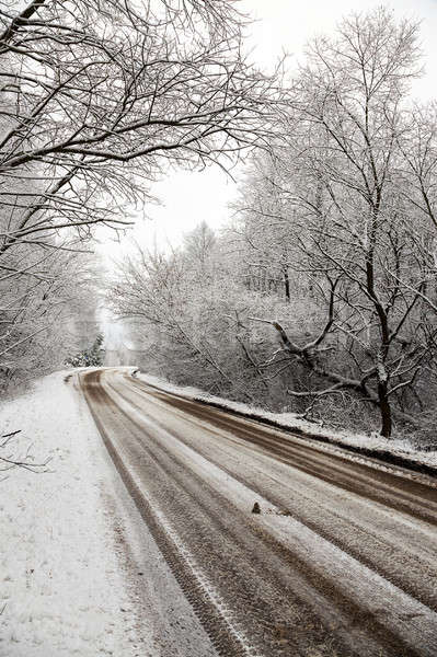 Stock photo: the winter road  