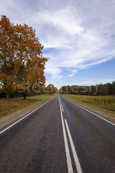 Stock photo: the autumn road 