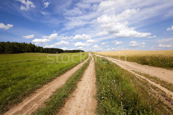 the rural road   Stock photo © avq