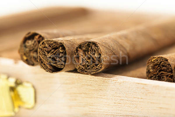 雪茄 小 一起 葉 黑暗 抽煙 商業照片 © avq