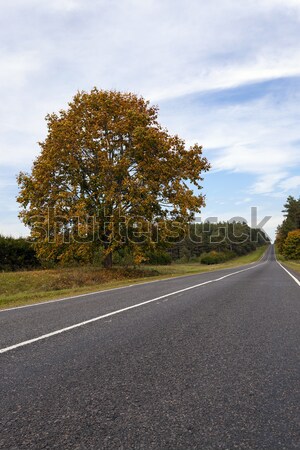 Automne route faible saison d'automne arbre paysage [[stock_photo]] © avq
