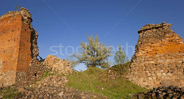 Stock photo: ruins  