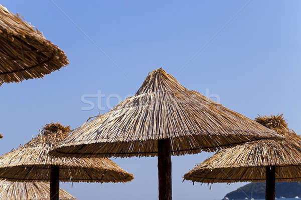 umbrellas on a beach   Stock photo © avq