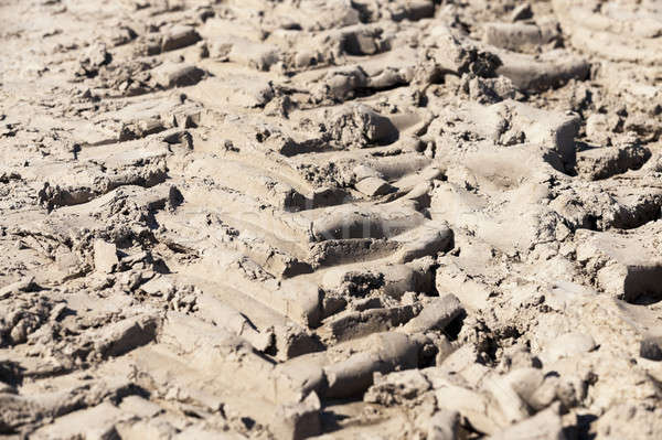 plowed for crop land Stock photo © avq