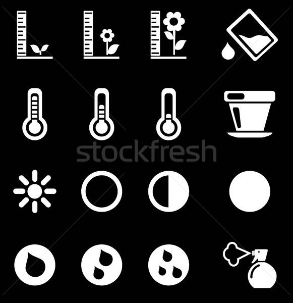 Plant Growing Sign Silhouette Icons Stock photo © ayaxmr