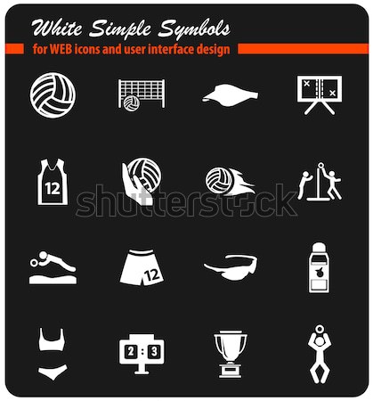 Volleybal eenvoudig iconen web gebruiker Stockfoto © ayaxmr