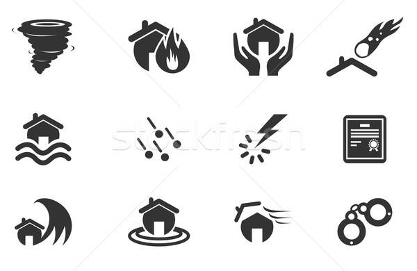 Home Insurance Icons Stock photo © ayaxmr
