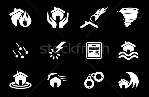 Otthonbiztosítás ikonok egyszerűen szimbólumok háló felhasználó Stock fotó © ayaxmr