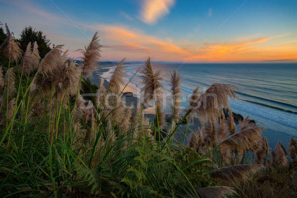 Mooie noordelijk zonsondergang strand water Stockfoto © Backyard-Photography