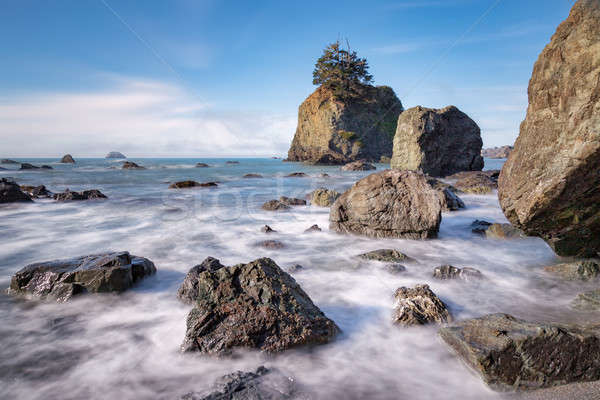 Plaży krajobraz wiosną morza ocean Zdjęcia stock © Backyard-Photography