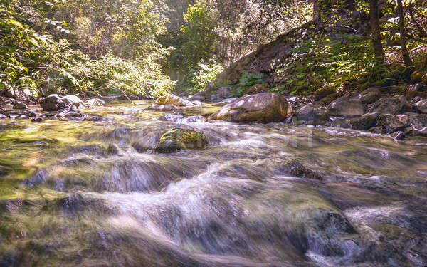 A Small River in Northern California Stock photo © Backyard-Photography