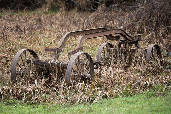 Stock photo: Overgrown and Rusty Cart, Color Image, USA