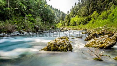 Stockfoto: Rivier · noordelijk · Californië · USA · water · bos