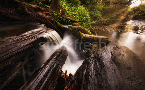 Small Waterfall in the Mountains of Northern California Stock photo © Backyard-Photography