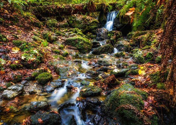 Foto stock: Cachoeira · outono · pequeno · montanhas · Califórnia