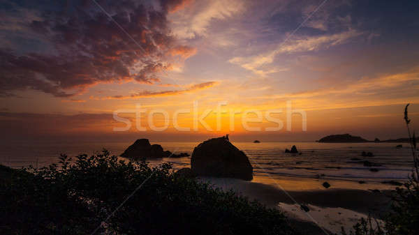 美しい 北方 日没 ビーチ カラー画像 風景 ストックフォト © Backyard-Photography