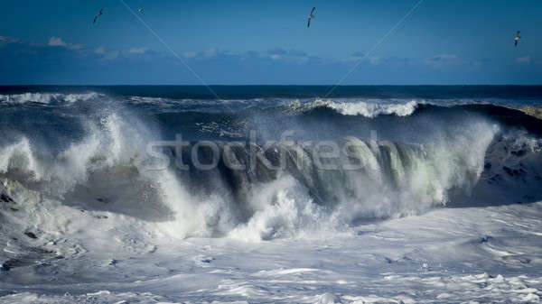 Fali plaży wody morza ocean Zdjęcia stock © Backyard-Photography
