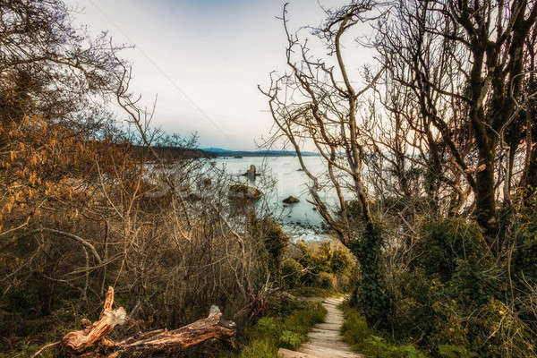 Foto stock: Playa · paisaje · empinado · escaleras · abajo