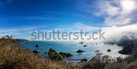 Plaży scena California panoramiczny Zdjęcia stock © Backyard-Photography