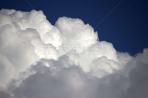 White Clouds on Blue Sky Stock photo © Backyard-Photography
