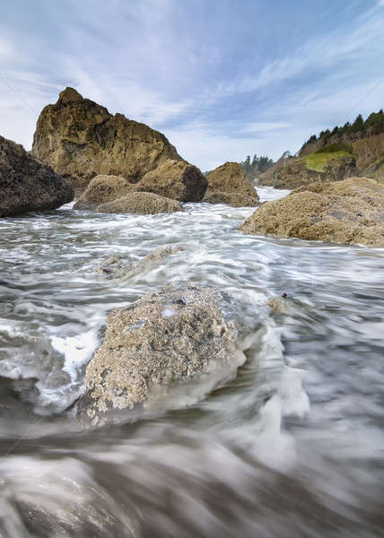 Ocean Waves at Rocky Pacific Northwest Beach Stock photo © Backyard-Photography