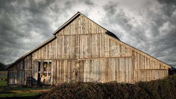 Stock foto: Alten · aufgegeben · Scheune · Farbbild · Landschaft · USA