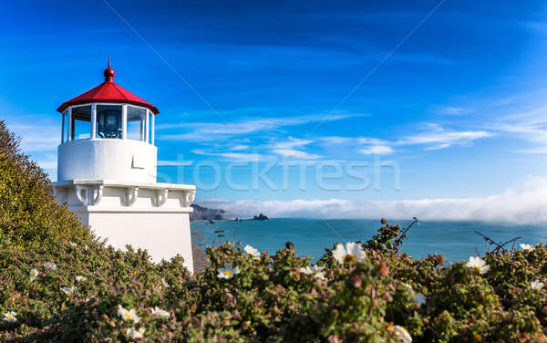 Small Lighthouse Guarding the Bay Stock photo © Backyard-Photography