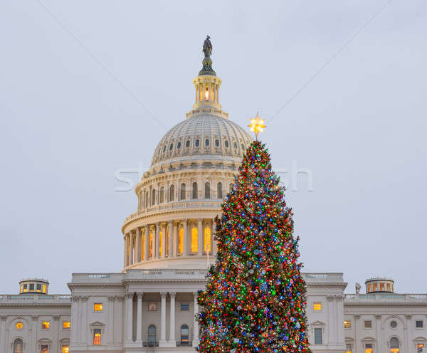 Kerstboom Washington DC vroeg avond zon gebouw Stockfoto © backyardproductions
