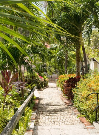 Famous 99 steps Charlotte Amalie Stock photo © backyardproductions