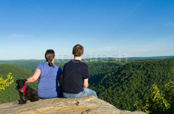 Foto stock: Corvo · rocha · floresta · veja · rio