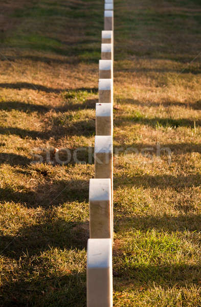 Row of grave stones in Arlington Stock photo © backyardproductions
