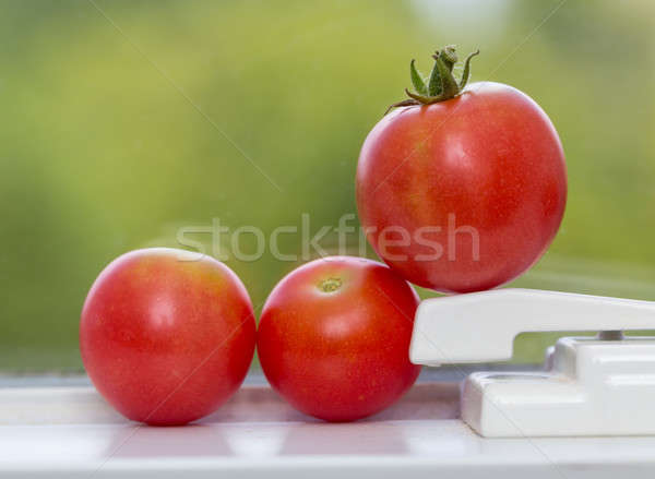 Row of tomatoes on window sill Stock photo © backyardproductions