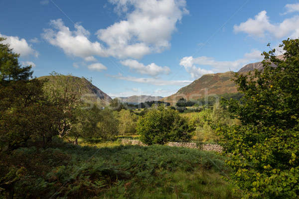 View over Buttermere village to distant hills Stock photo © backyardproductions