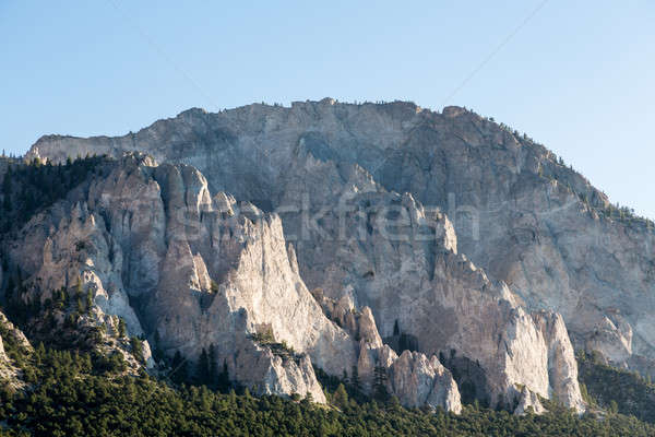 Chalk cliffs of Mt Princeton Colorado Stock photo © backyardproductions
