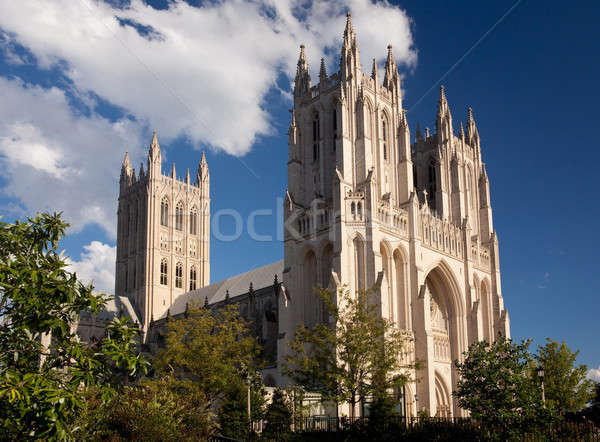 Vue de côté cathédrale Washington côté bâtiment arbres [[stock_photo]] © backyardproductions