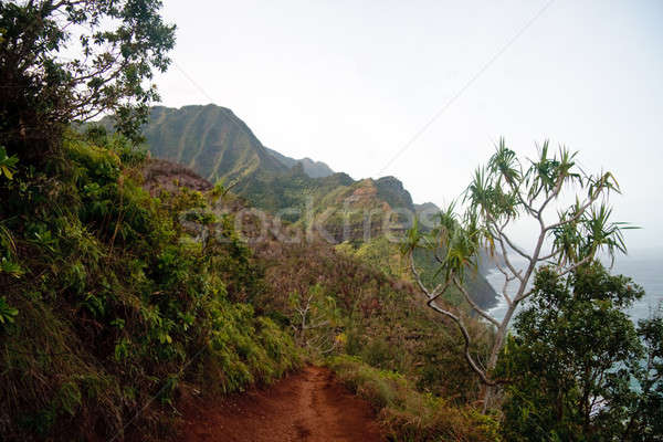View of Na Pali coast Stock photo © backyardproductions
