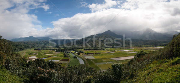 Panorama of Hanalei Valley on Kauai Stock photo © backyardproductions