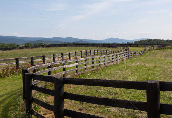 Rolling meadows with wooden fences and hills Stock photo © backyardproductions