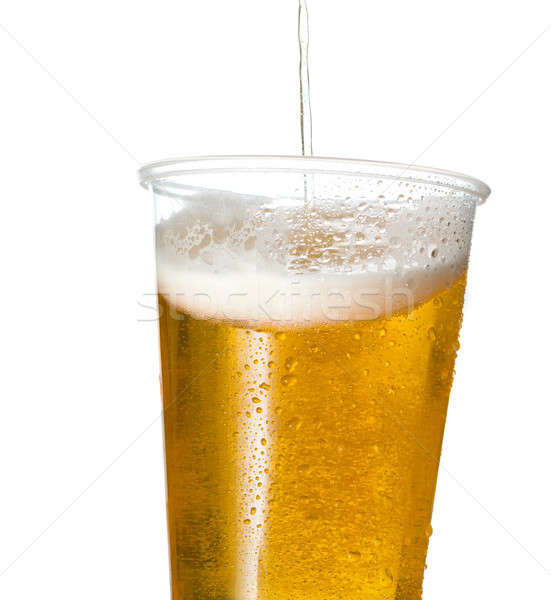 Golden Lagerbier Bier Einweg- Kunststoff Tasse Stock foto © backyardproductions