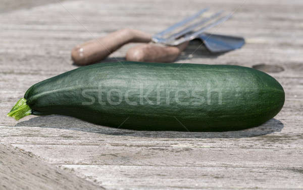 Marrow or courgette on table with gardening tools Stock photo © backyardproductions