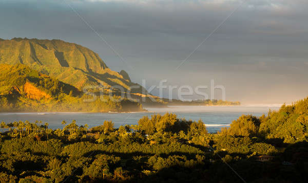 Panorama of Hanalei on island of Kauai Stock photo © backyardproductions