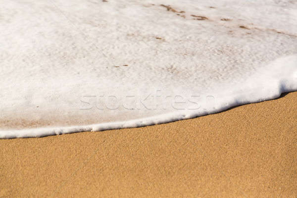 Edge of sea and surf on sandy beach Stock photo © backyardproductions