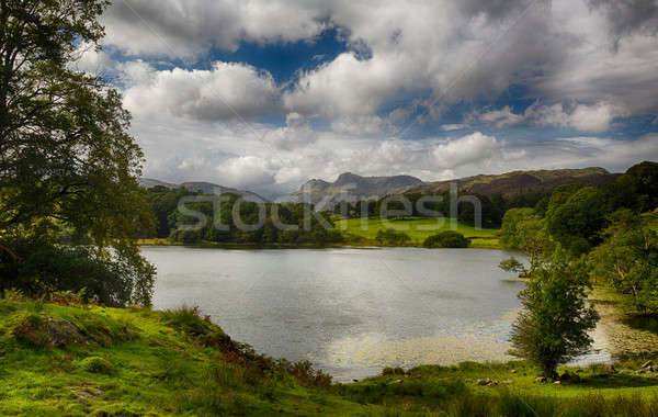 Loughrigg Tarn in Lake District Stock photo © backyardproductions