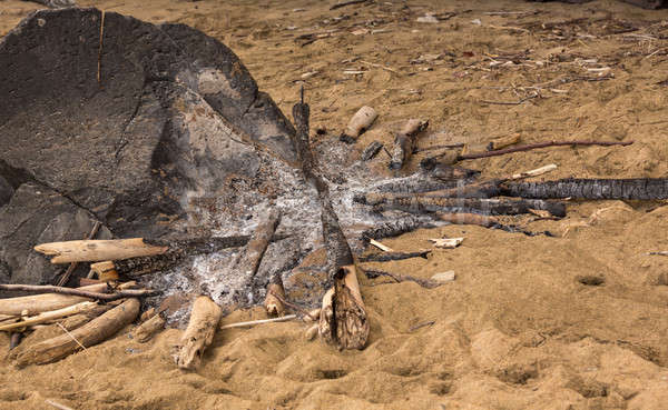 Remains of campfire on sandy beach Stock photo © backyardproductions